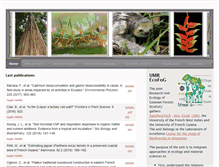 Tablet Screenshot of ecofog.gf